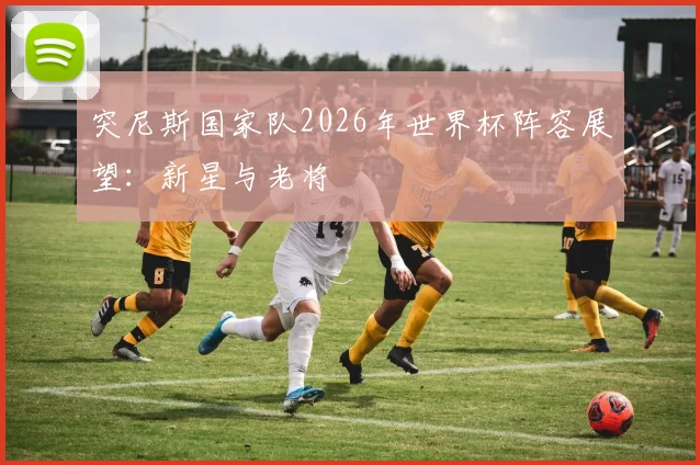 突尼斯国家队2026年世界杯阵容展望：新星与老将