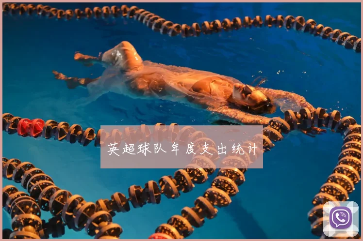 英超球队年度支出统计