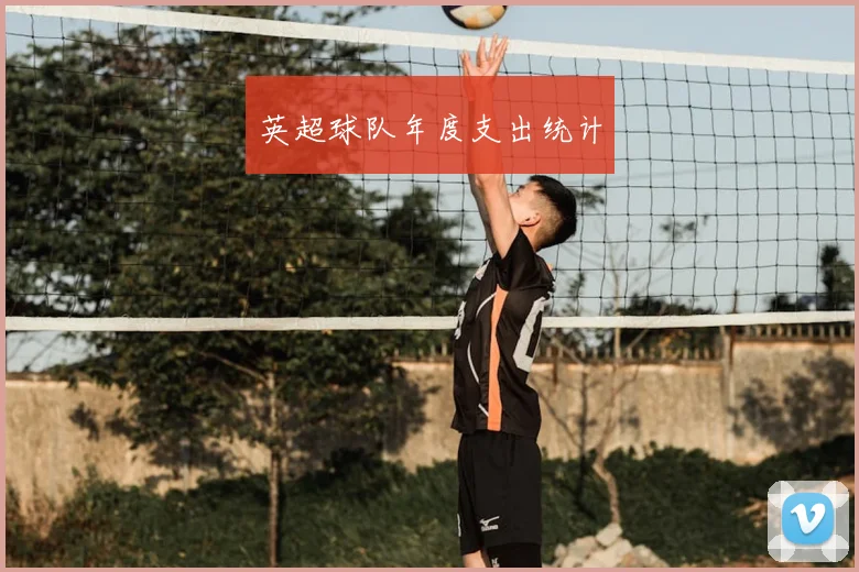 英超球队年度支出统计